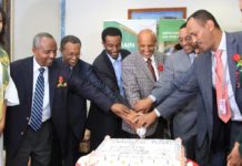 Ethiopian Starts Thrice Weekly Service to Bahrain